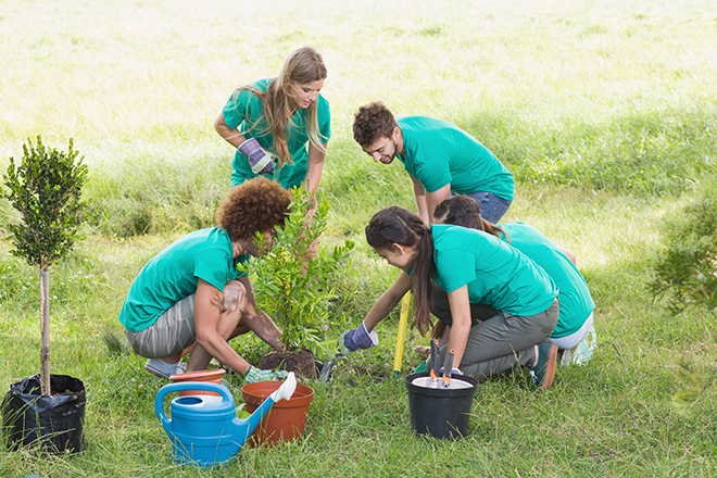 Cuatro jóvenes en un campo están plantando árboles.