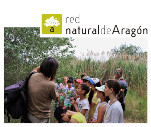 Un grupo de niños y niñas en un entorno natural miran con prismáticos, otros hacen el gesto con las manos en los ojos de tener un prismático.