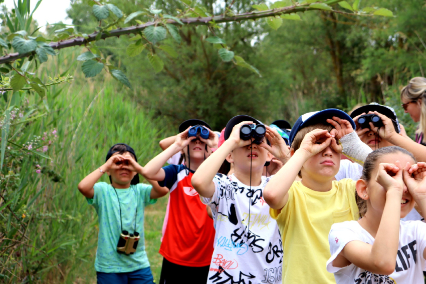 Un grupo de niños y niñas en un entorno natural miran con prismáticos, otros hacen un gesto con las manos en los ojos simulando tener un prismático.