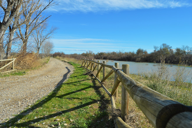 Fotografía del Camino Natural de La Alfranca que discurre junto al río Ebro