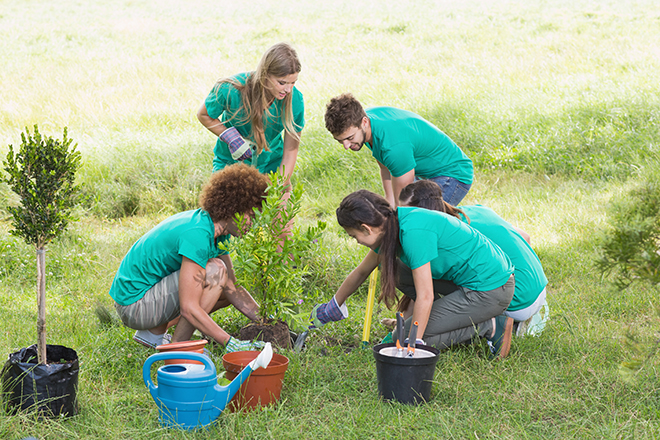 Cuatro jóvenes están en un campo plantando árboles.