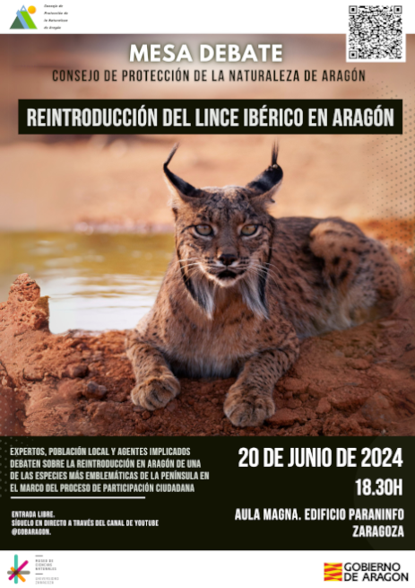 Cartel del evento donde aparece una fotografía de un lince en primer plano