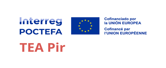 Logotipo Interreg POCTEFA TEA Pir. Cofinanciado por la Unión Europea